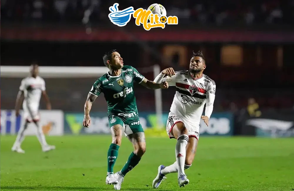 Nhận định soi kèo Sao Paulo vs Palmeiras, 05h30 ngày 06/07/2023