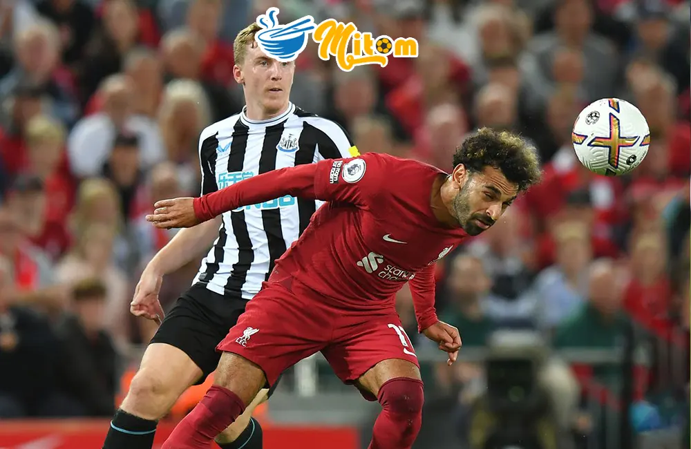 Nhận định soi kèo Newcastle United vs Liverpool, 22h30 ngày 27/08/2023