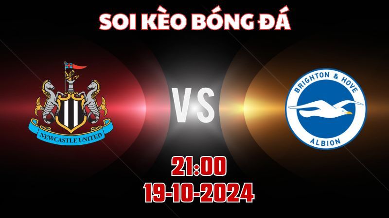 Newcastle - Brighton